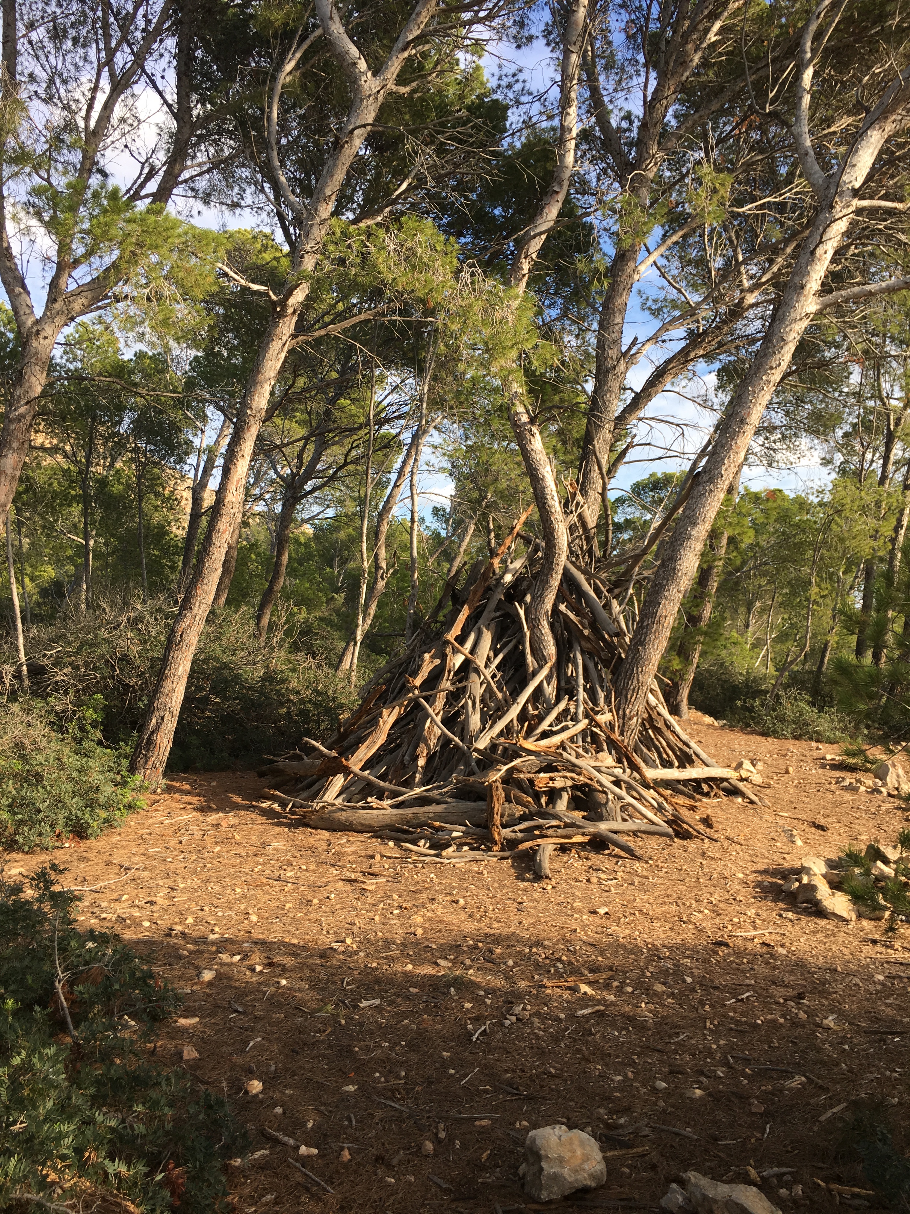 Not a picture of Stefan Christou. A pile of logs